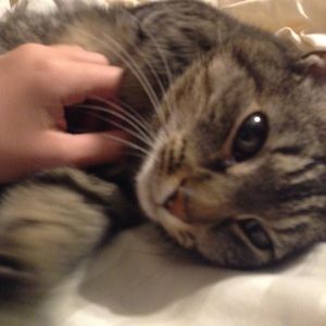 Meet your Posher, Estillina